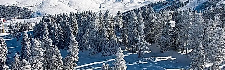 Günübirlik Uludağ Turu